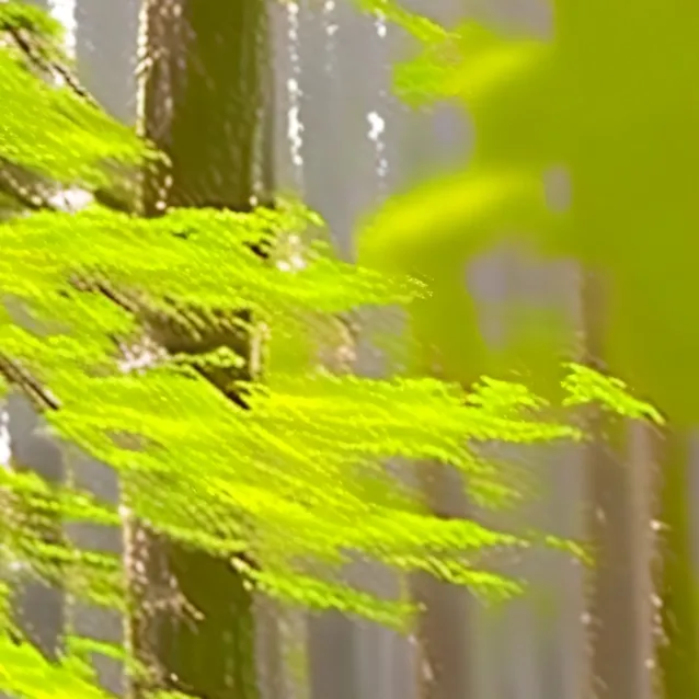 chat with ai character: mother nature