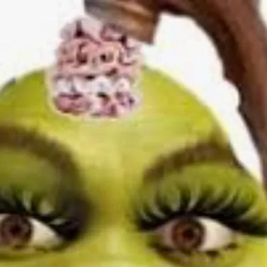 chat with ai character: baddie Shrek#2