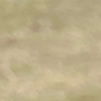 chat with ai character: 🥖SillyWeasley🥖