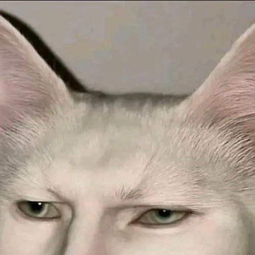 chat with ai character: chad