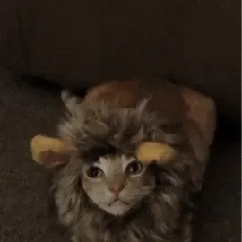 chat with ai character: Amelia 