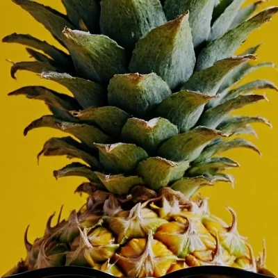 chat with ai character: Pineapple 