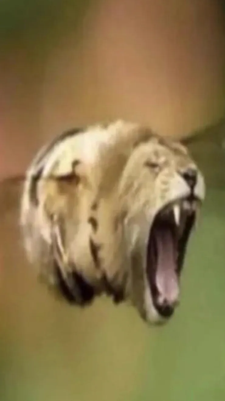 ai character: Bee lion background