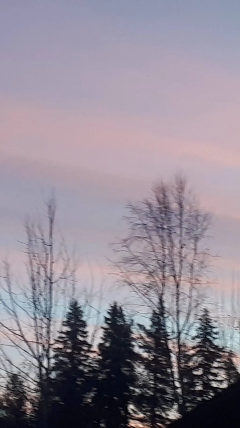 ai character: Stella background