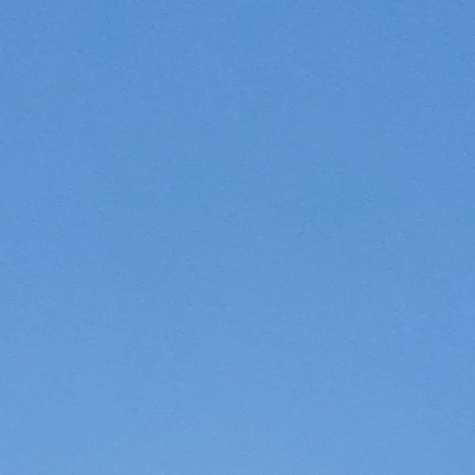 chat with ai character: Savanna 