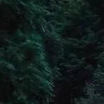 chat with ai character: Hogwarts 