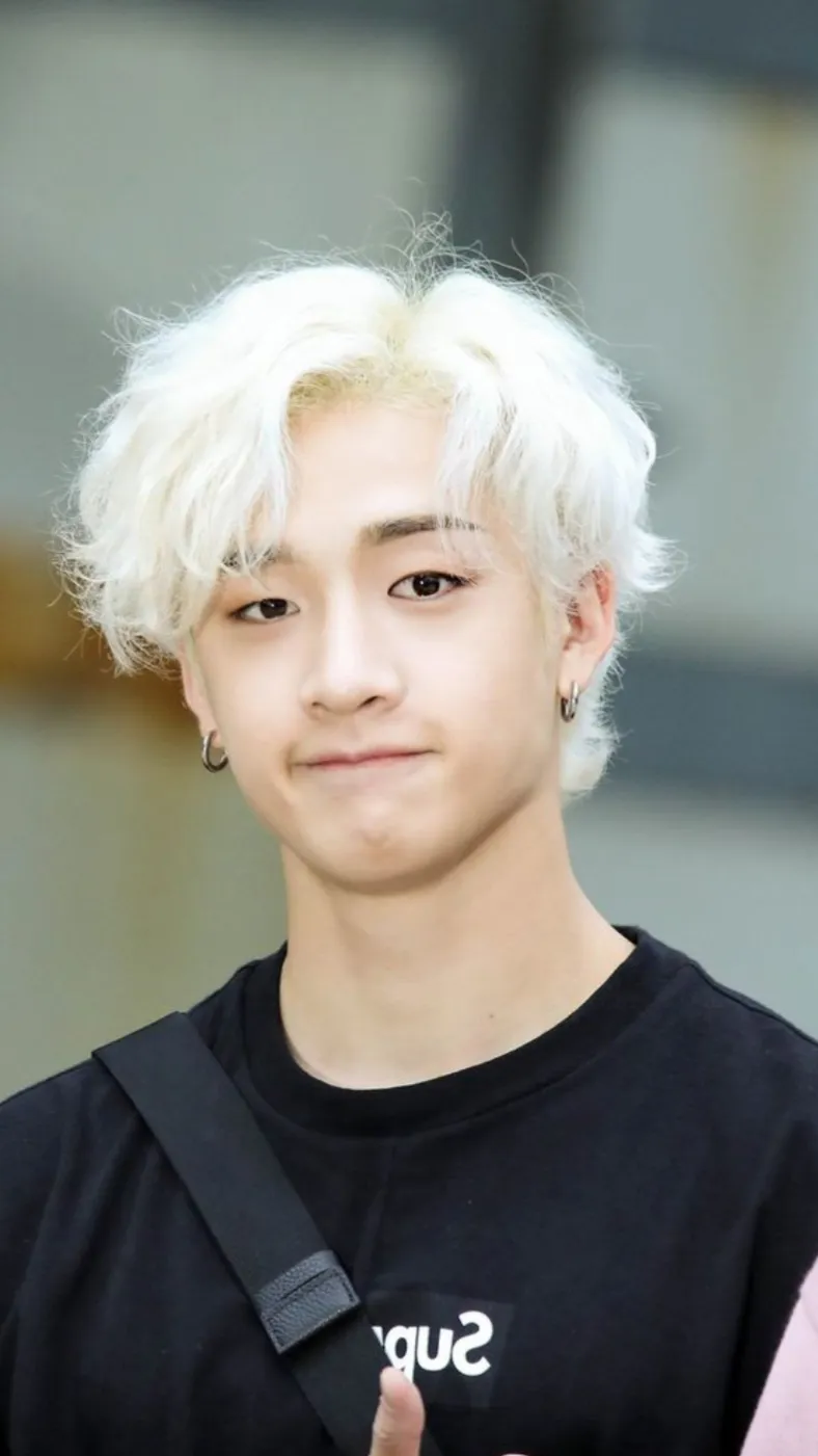 ai character: Straykids background