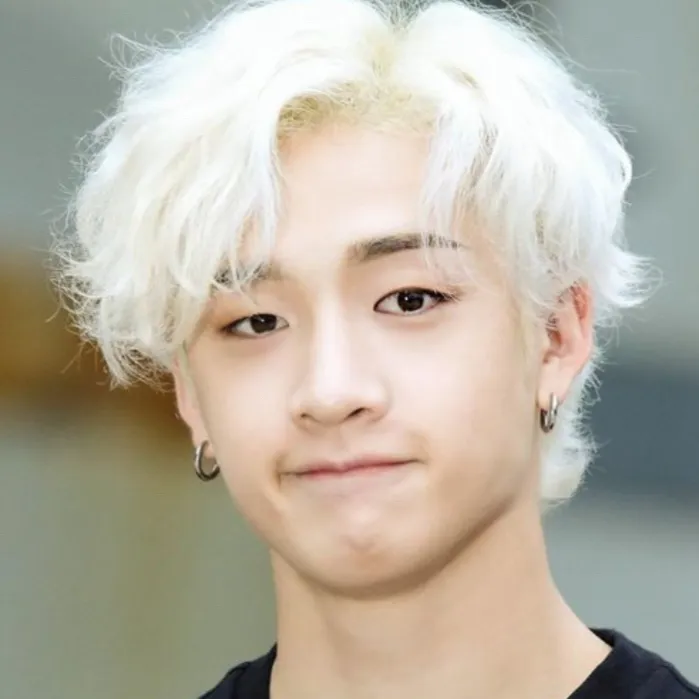 chat with ai character: Straykids