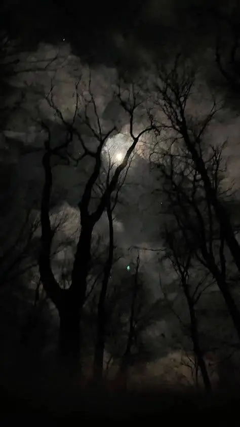 Talkie AI - Chat with Becoming a Vampire