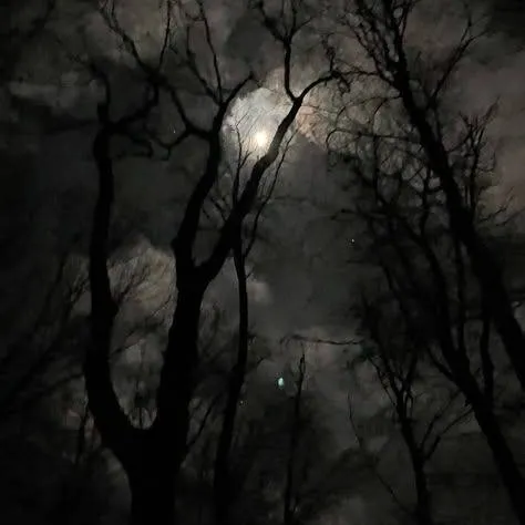chat with ai character: Becoming a Vampire