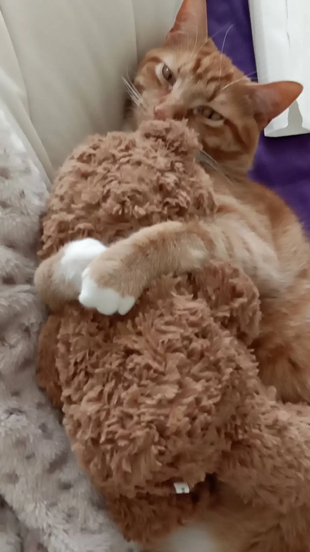 ai character: chance background