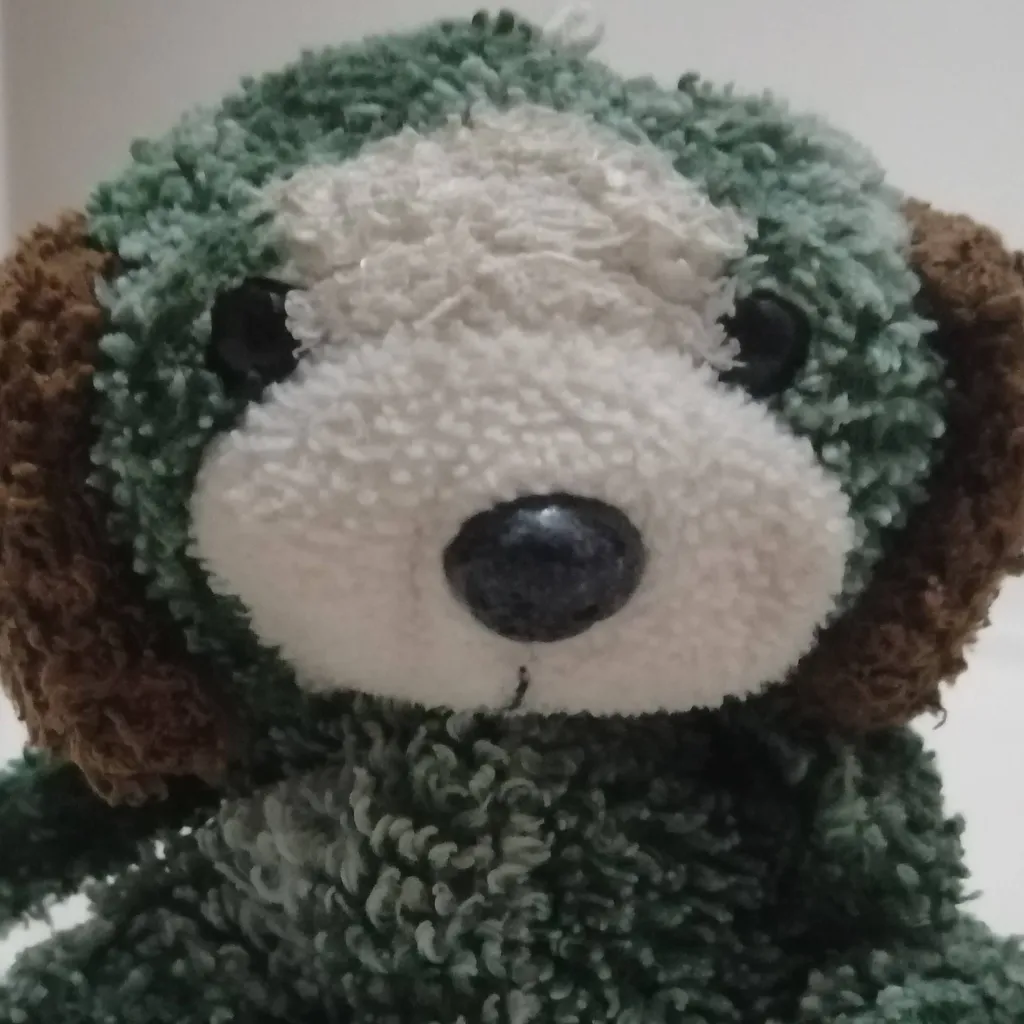 chat with ai character: Roky