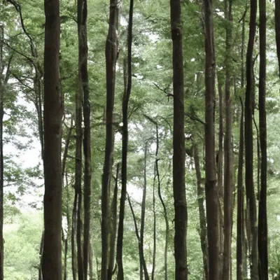 chat with ai character: Field Trip