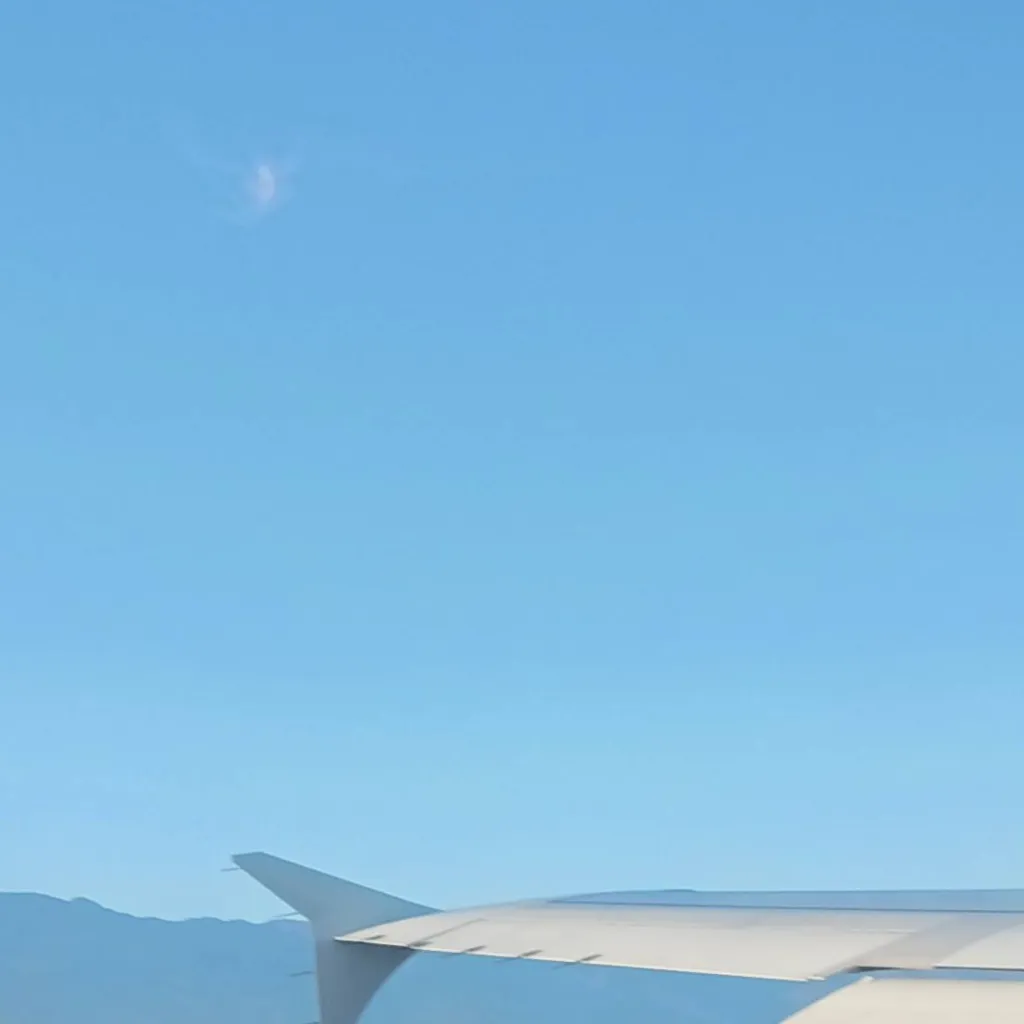 chat with ai character: Plane ride! :D