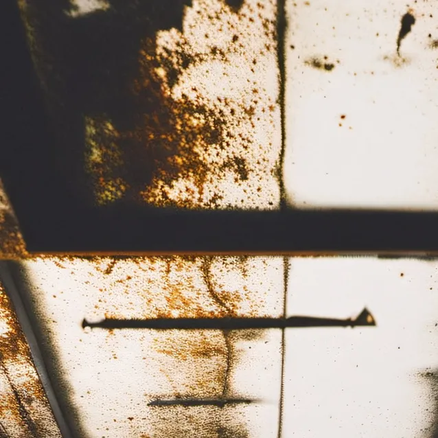 chat with ai character: Concrete Cell