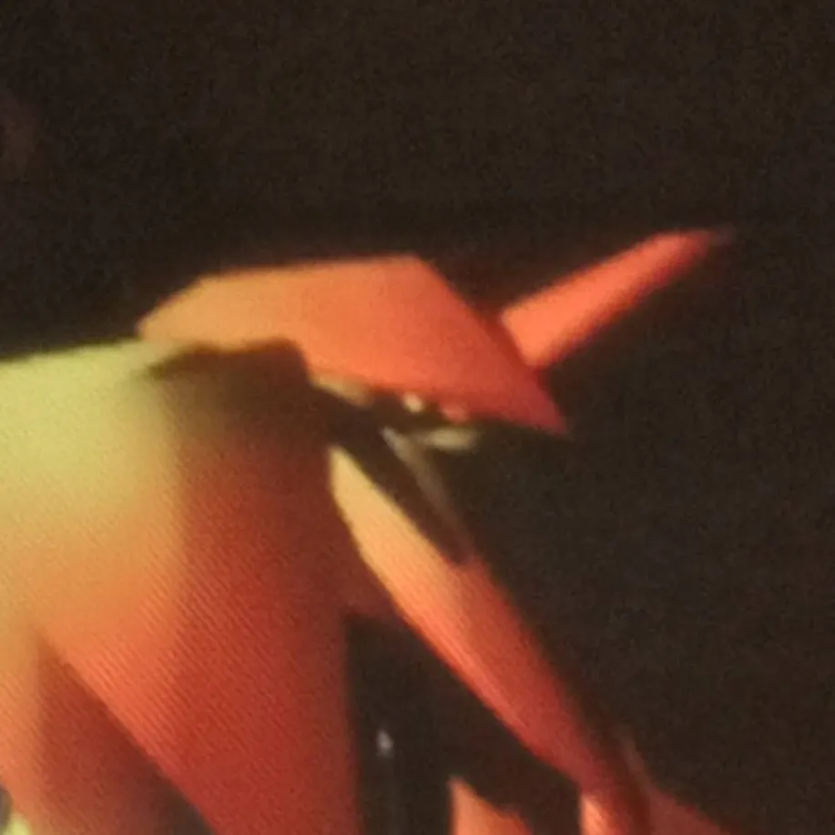 chat with ai character: Phonix Finch