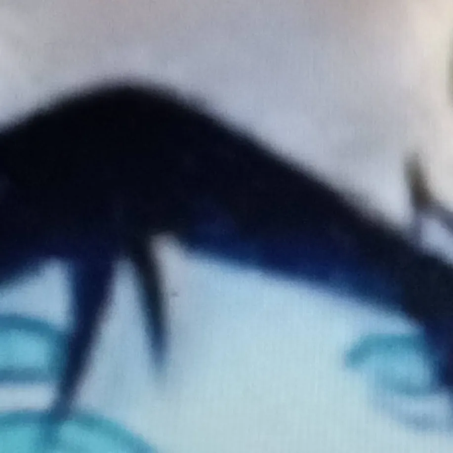 chat with ai character: Sebastian eating