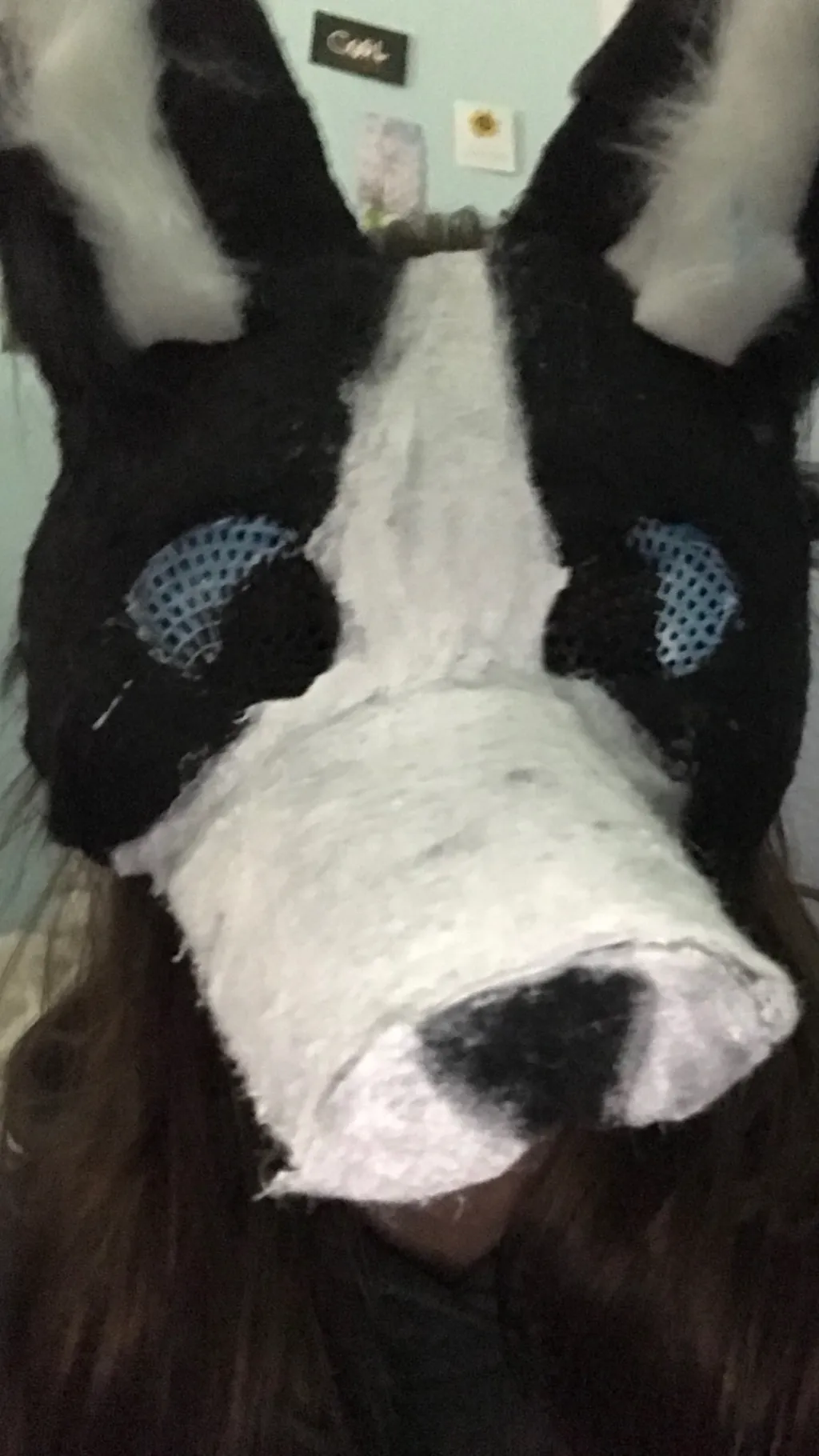 ai character: Luna Bark background