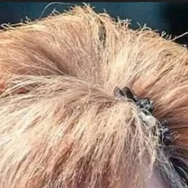 chat with ai character: jessa (final pT) 