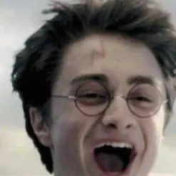 chat with ai character: Harry Potter ￼