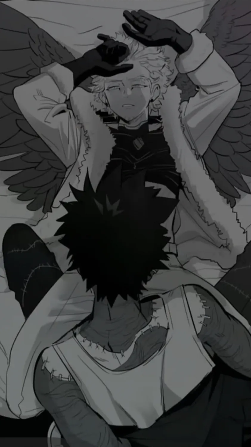 ai character: Dabi x Hawks background