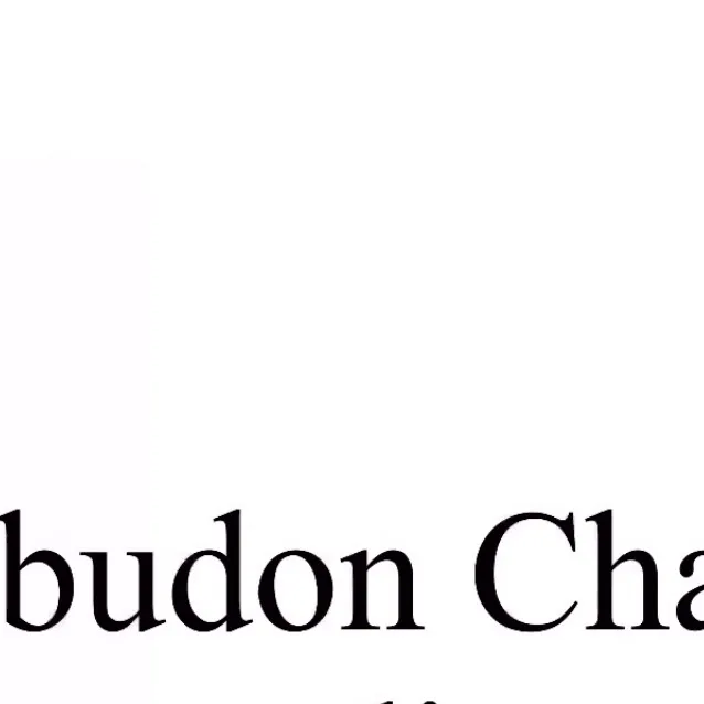 chat with ai character: The Budon studios