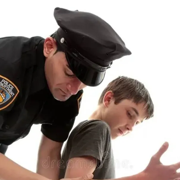 chat with ai character: Sean cops tv show 