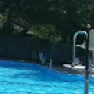 chat with ai character: Boys pool party