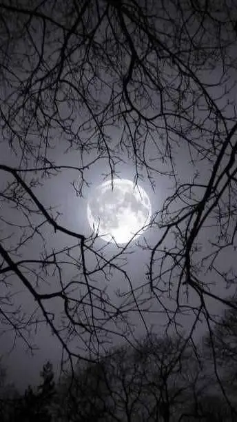 ai character: little Andy-LYRICS background