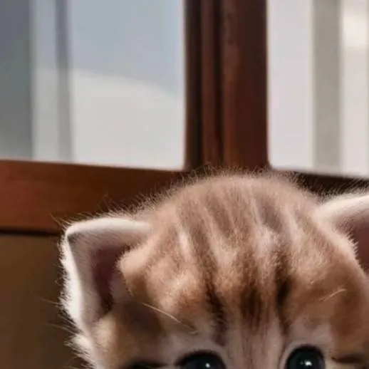 chat with ai character: ugly cat