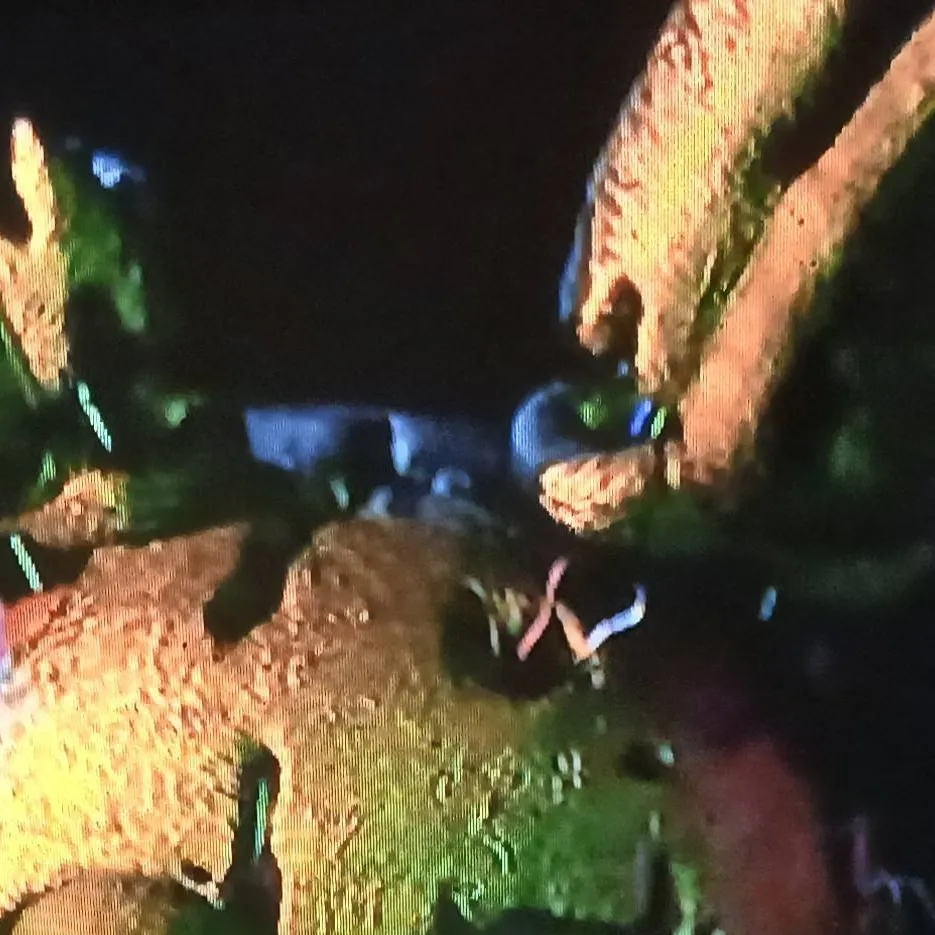 chat with ai character: springtrap 