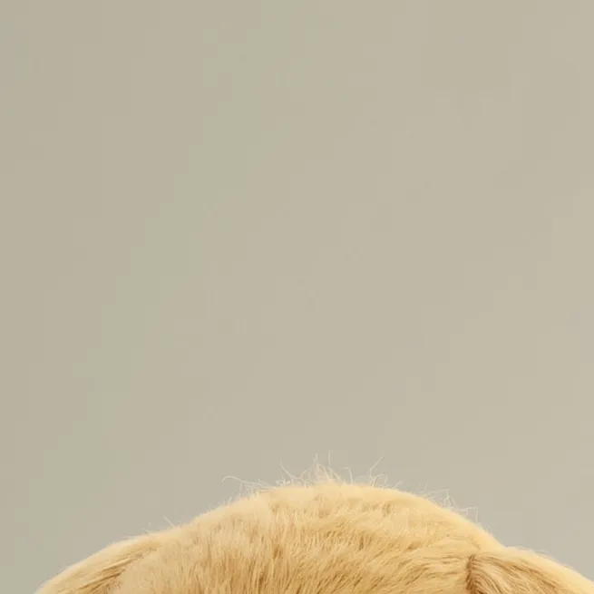 chat with ai character: ❤love potion ❤