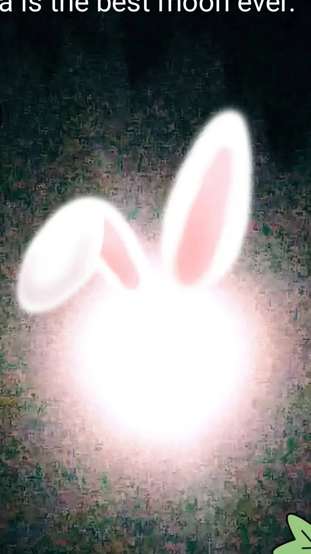 ai character: 👏( 'ω' )👏( 'ω' ) background