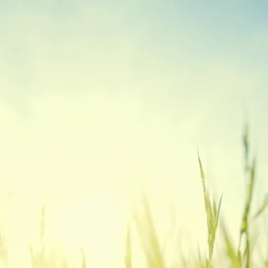 chat with ai character: Get off lil bro 