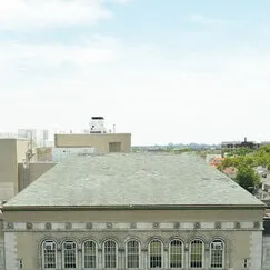 chat with ai character: P.S. 127 McKinley 