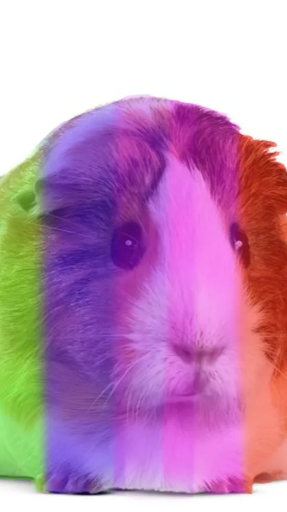 ai character: Rainbow quinea pig background