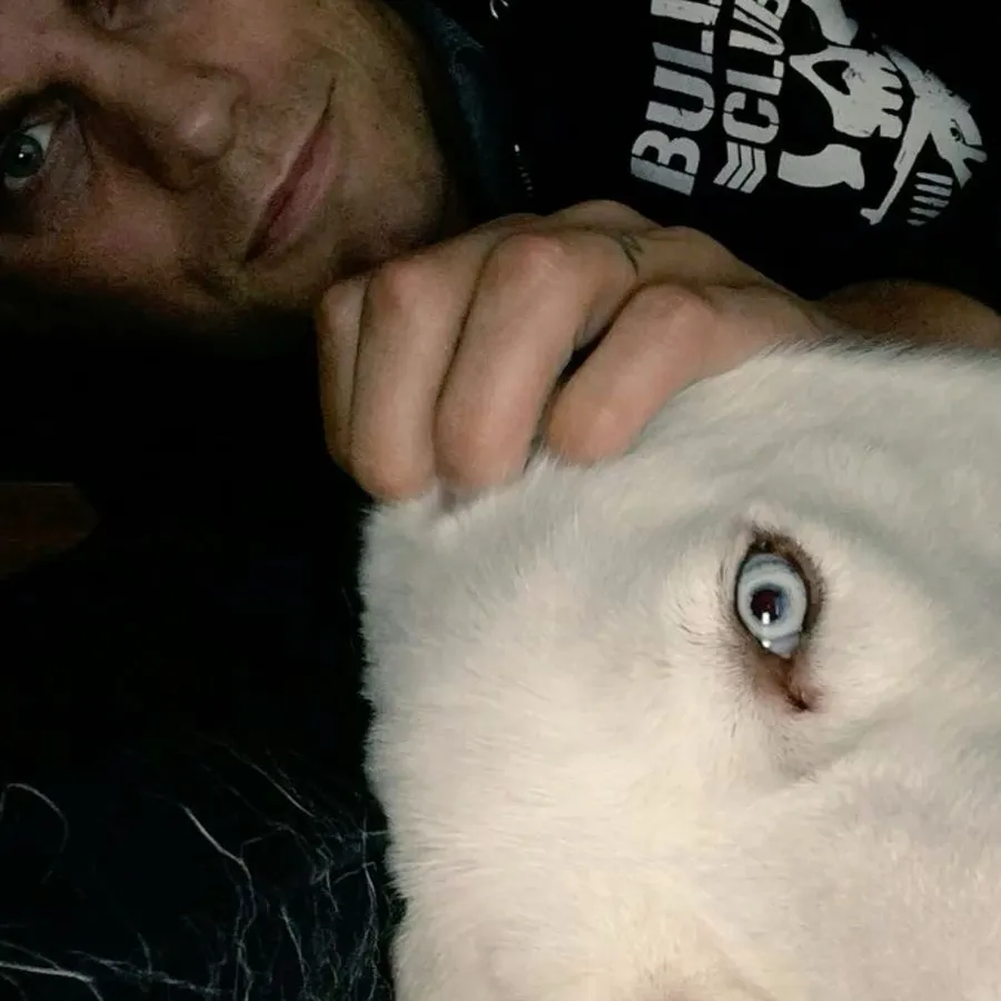 chat with ai character: Cody Rhodes 