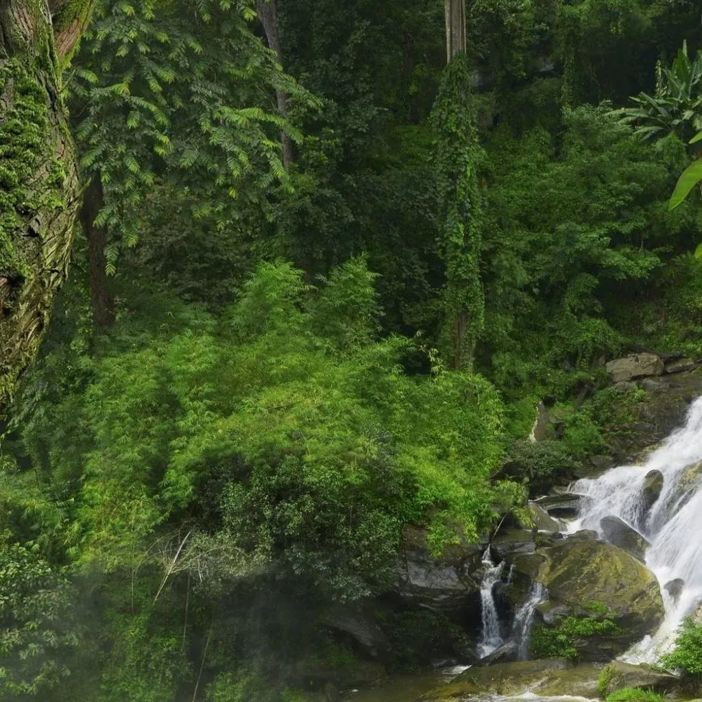 chat with ai character: The Rainforest