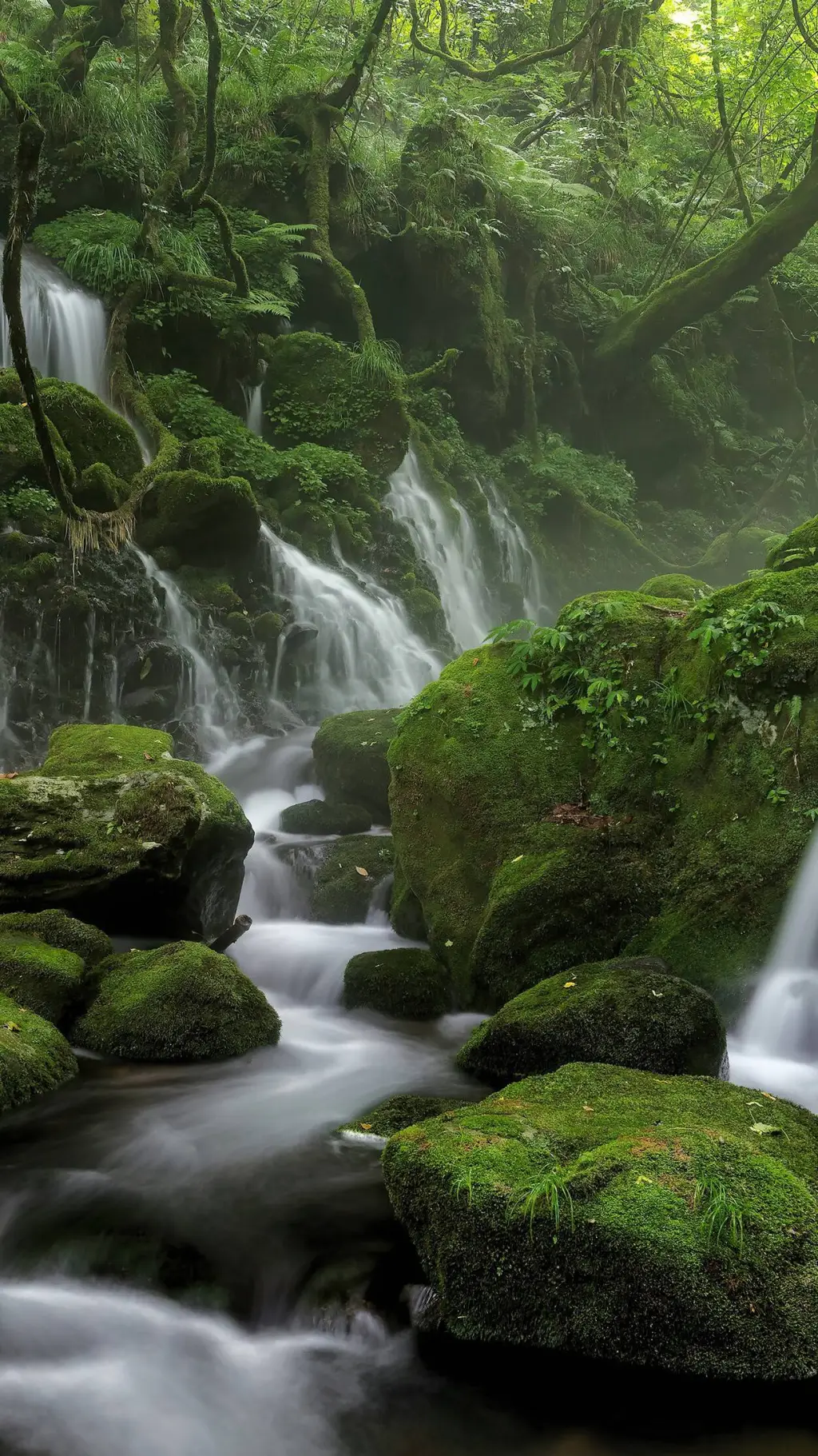 ai character: The Rainforest background