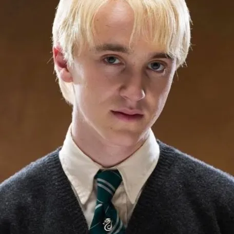 chat with ai character: Draco malfoy