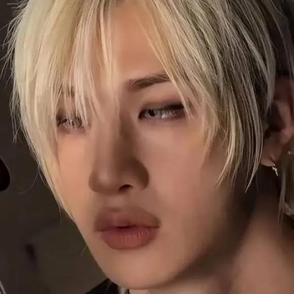 chat with ai character: Skz (Straykids)