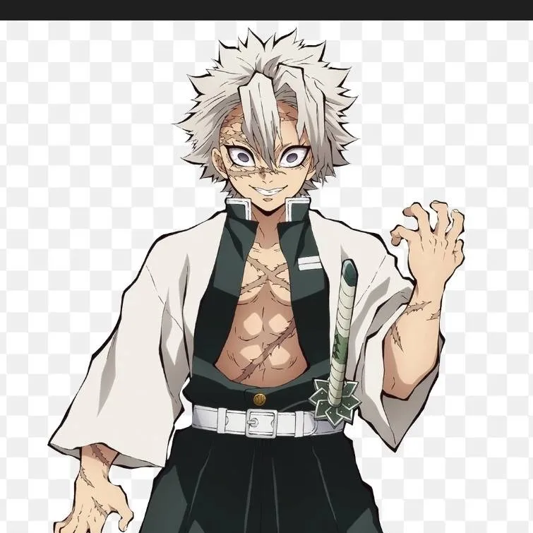 chat with ai character: Sanemi Shinazugawa