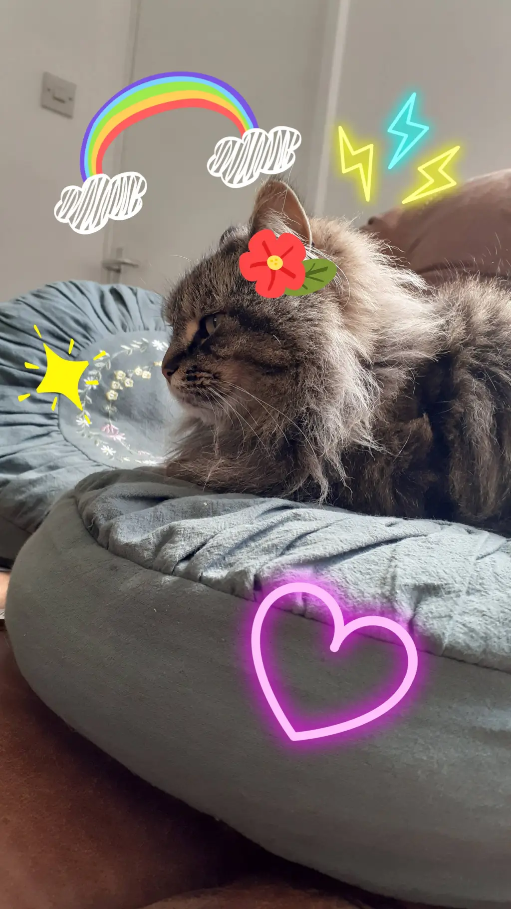 ai character: KITTY background