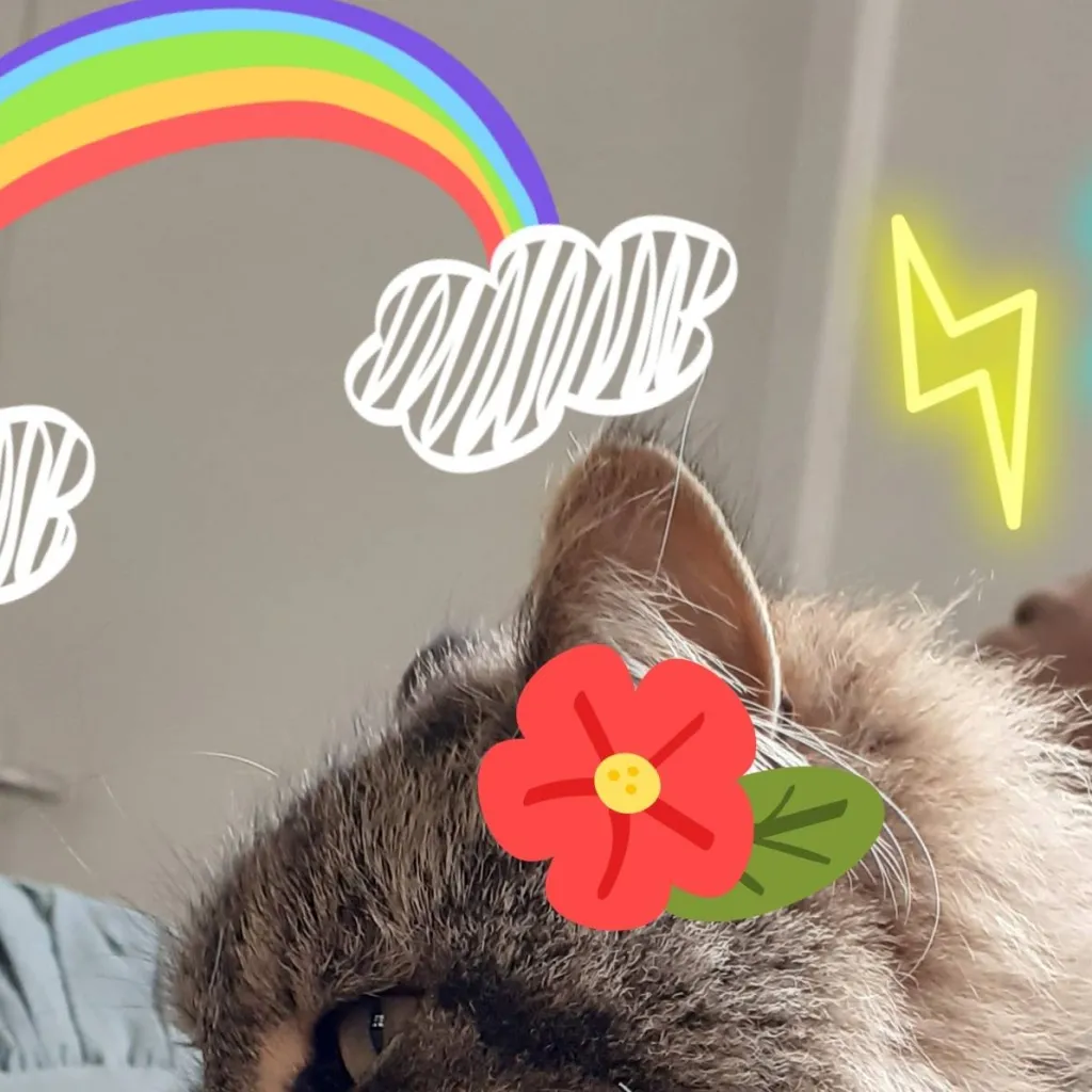 chat with ai character: KITTY
