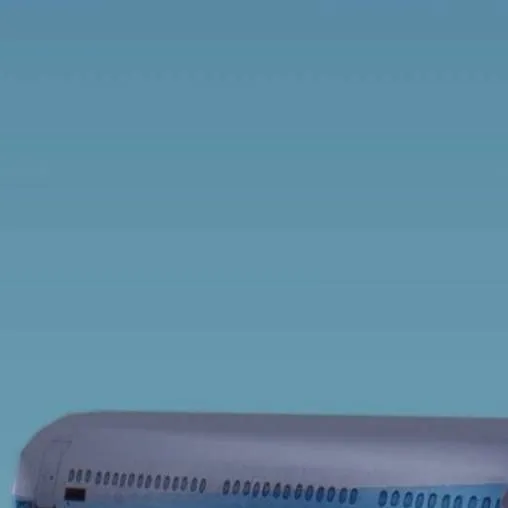 chat with ai character: AirTrain Crash