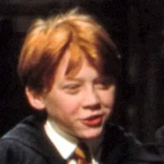 chat with ai character: Fpe + Harry Potter