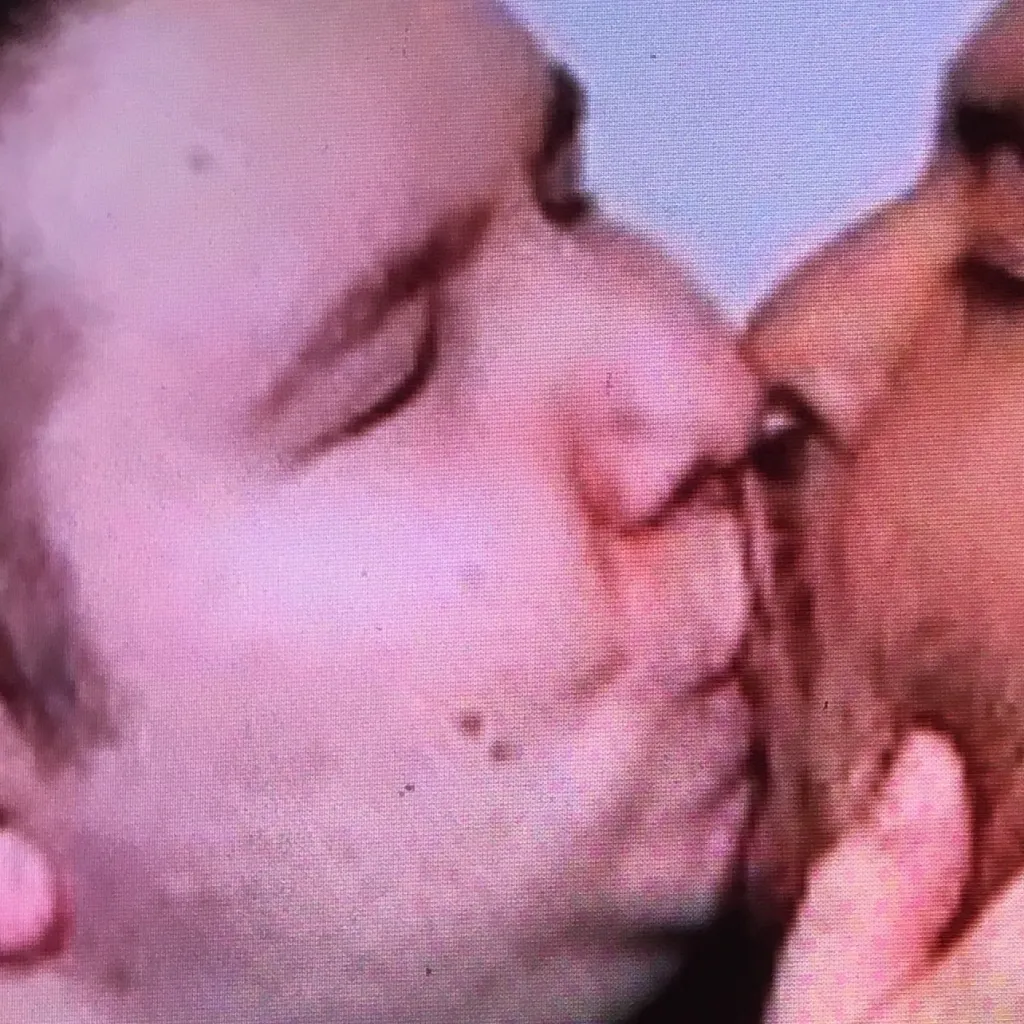 chat with ai character: Nikocado & orlin