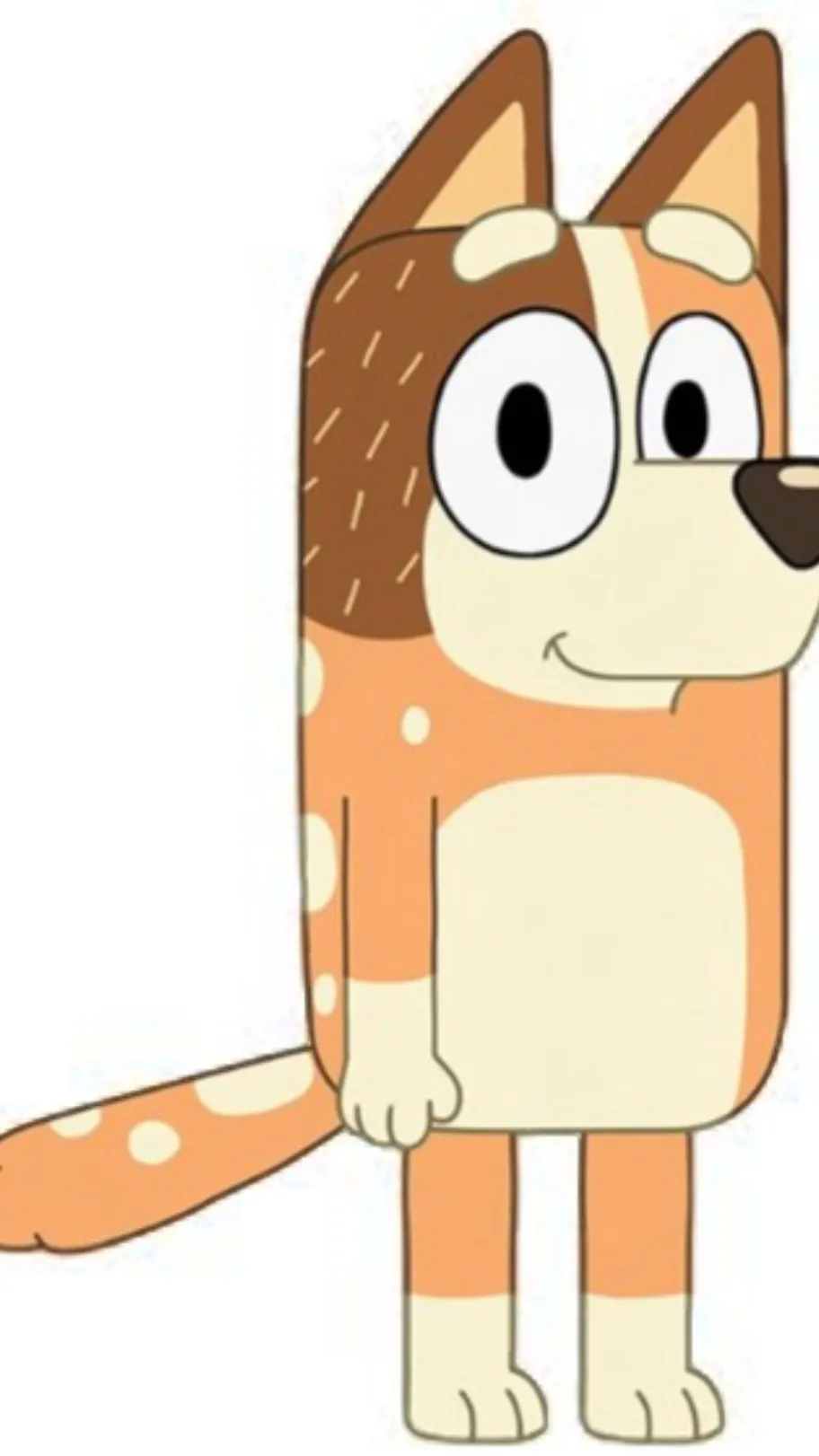 ai character: Chilli Heeler  background