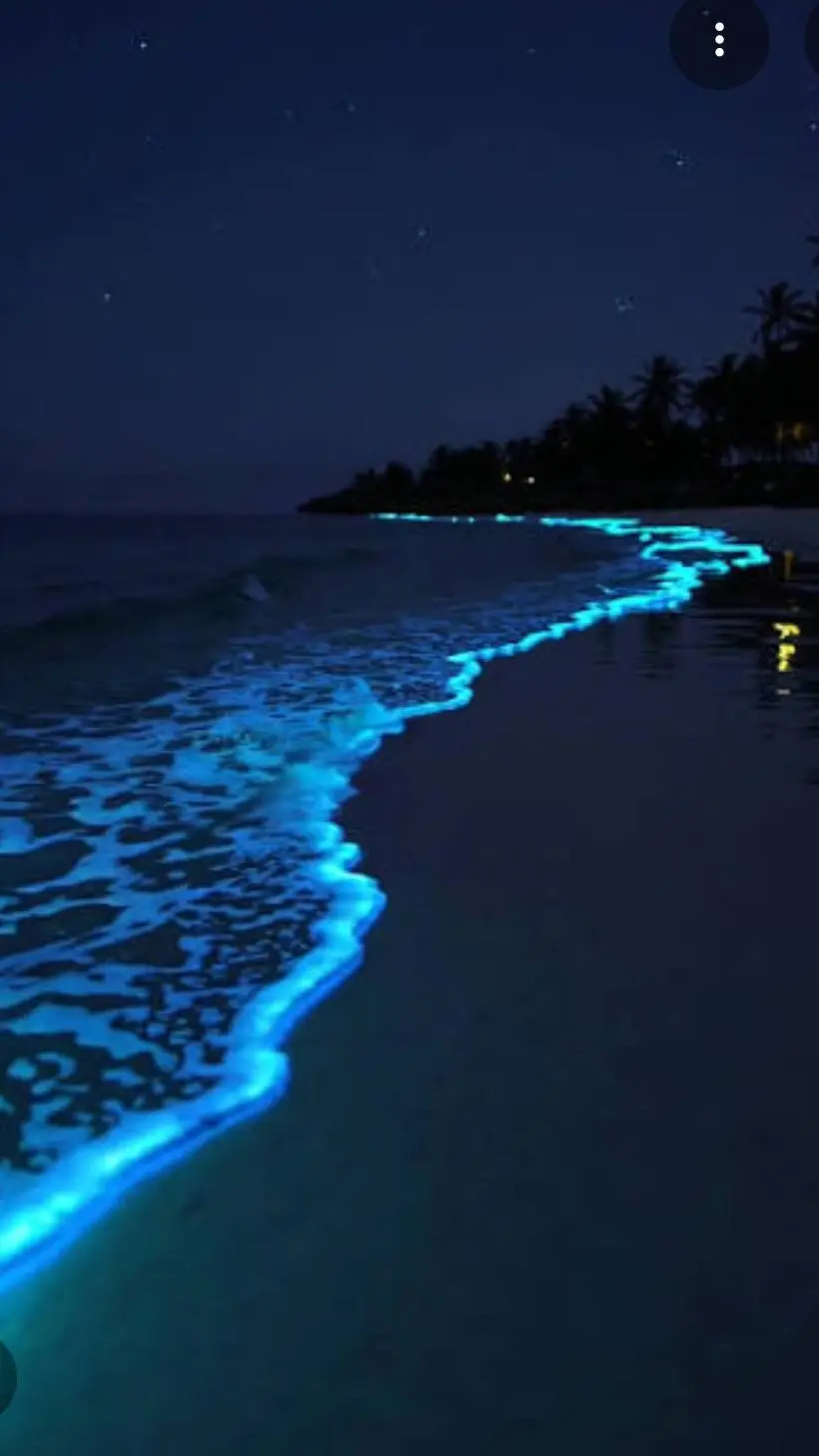 ai character: Night Beach 2010 background