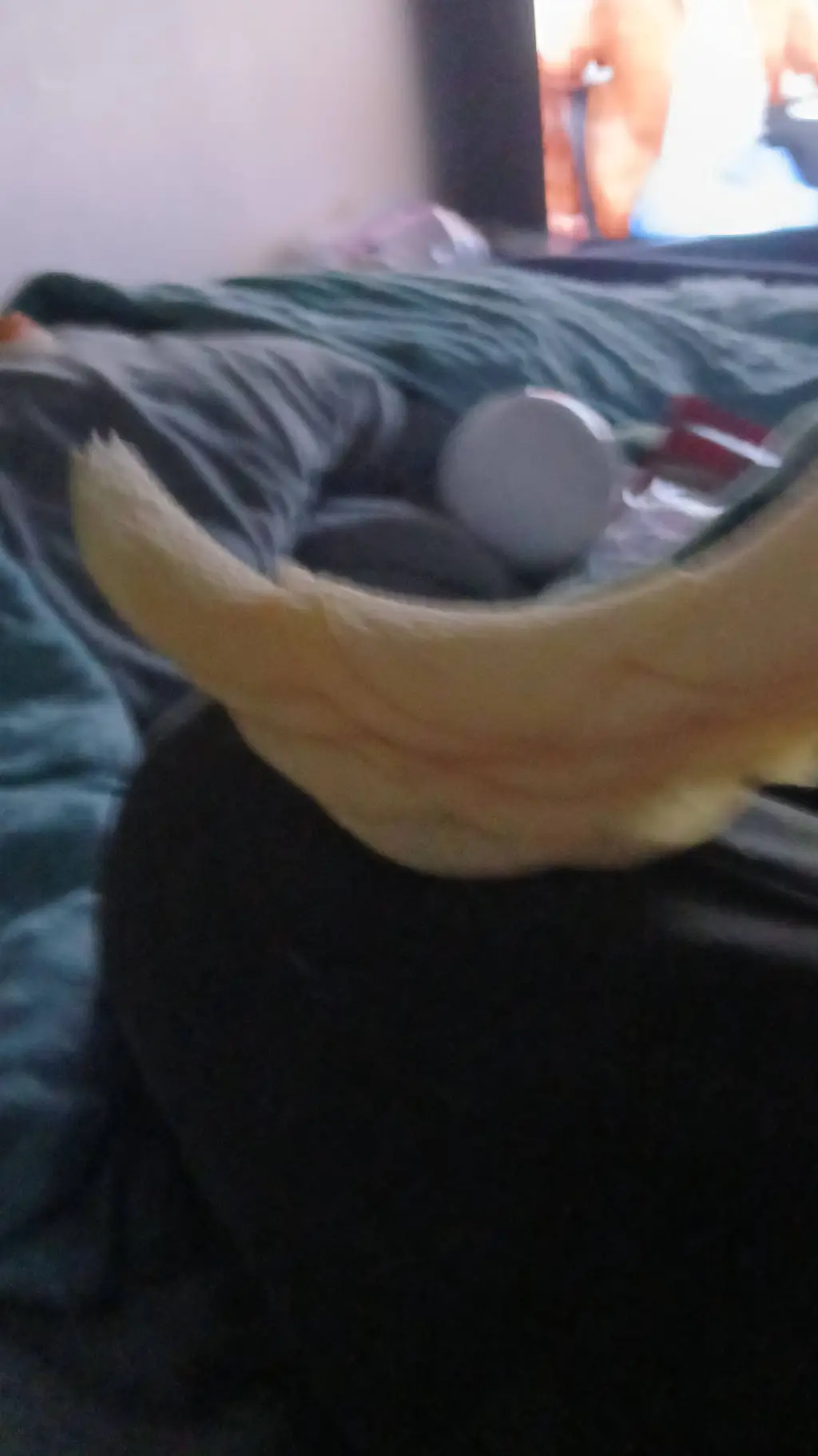 ai character: Pringle arch background